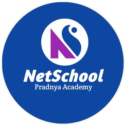 Net School logo